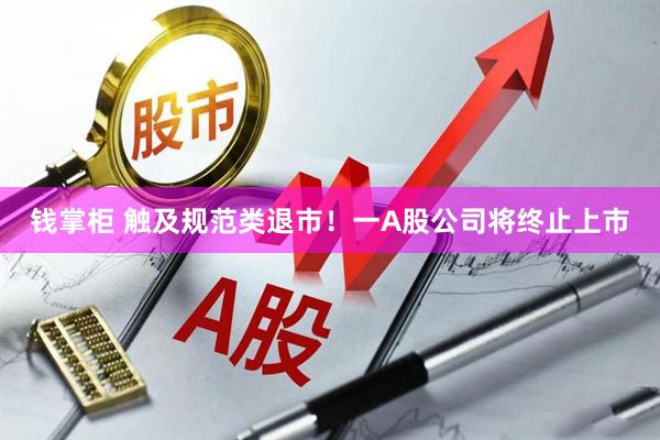 钱掌柜 触及规范类退市！一A股公司将终止上市